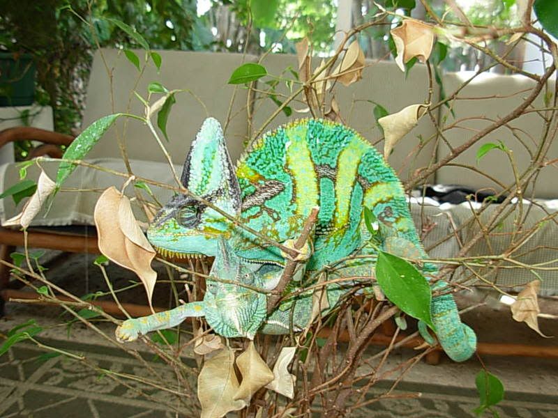 DSCN1714.jpg
