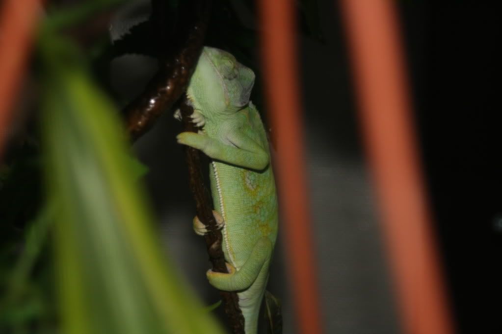 20110804_9.jpg