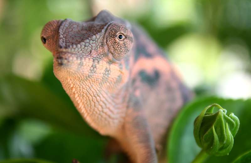 azuraoutside9.jpg