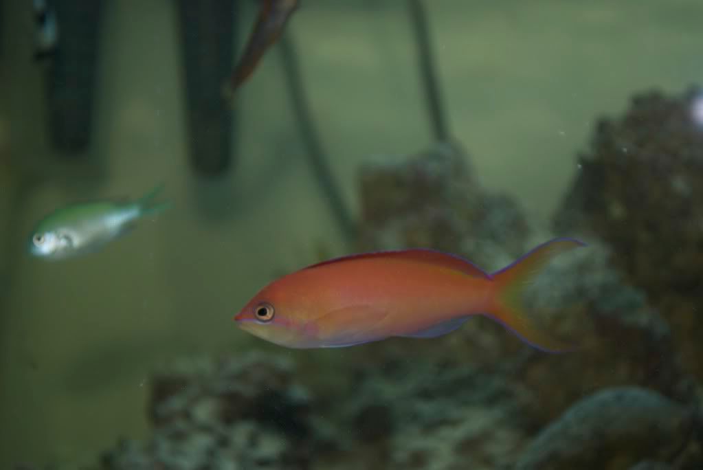 DSC_1572.jpg