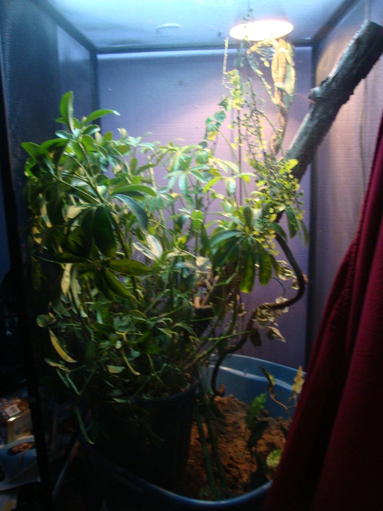 DSC02806.jpg