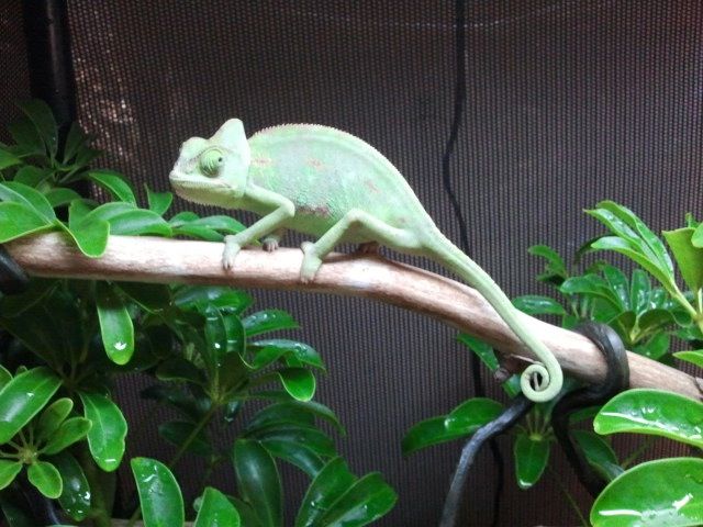 2012-08-14105031.jpg