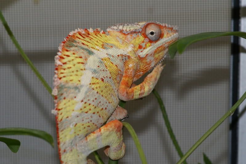 DSC07767.jpg