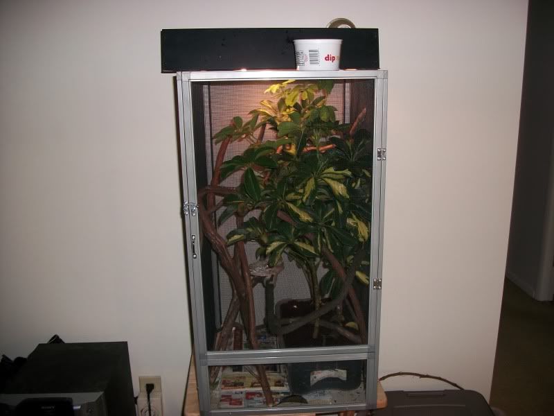 cage003.jpg