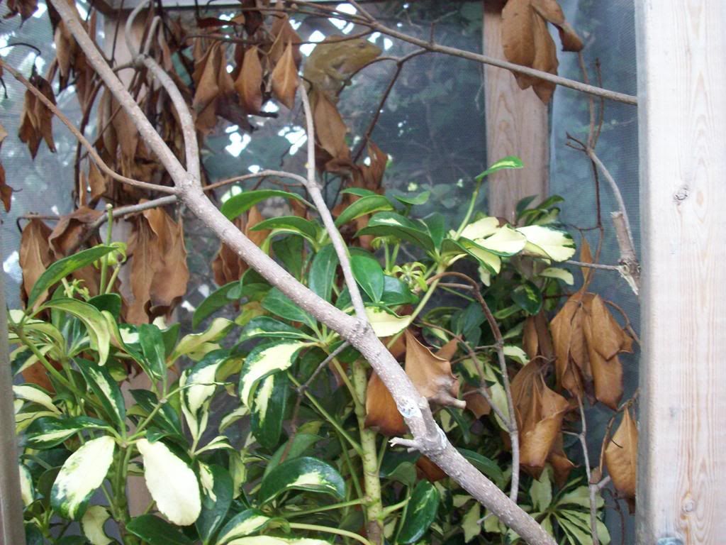 100_0434.jpg