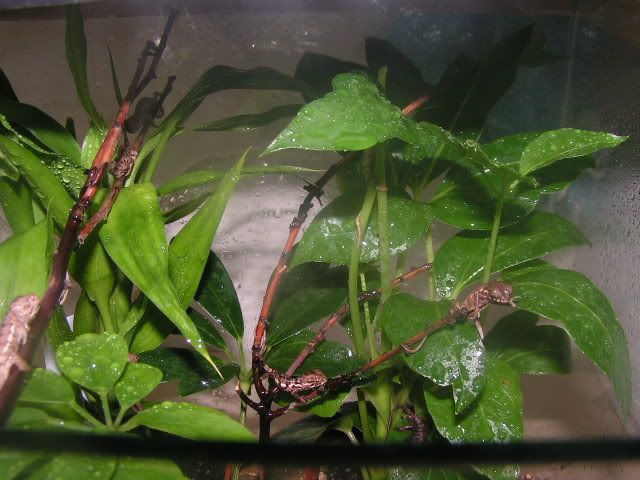 PICT2656.jpg