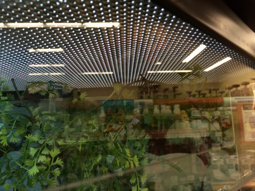 E16A43CB_zpsf07af365.jpg