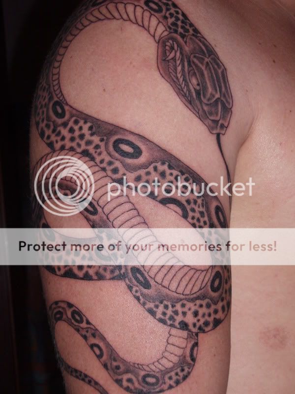 NewTat.jpg