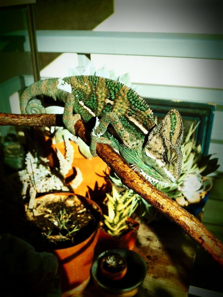 2013-01-03093957.jpg