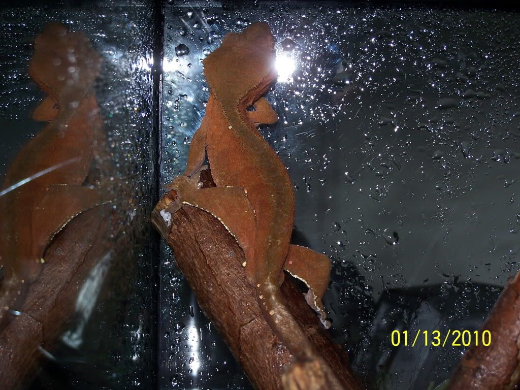 100_2110.jpg