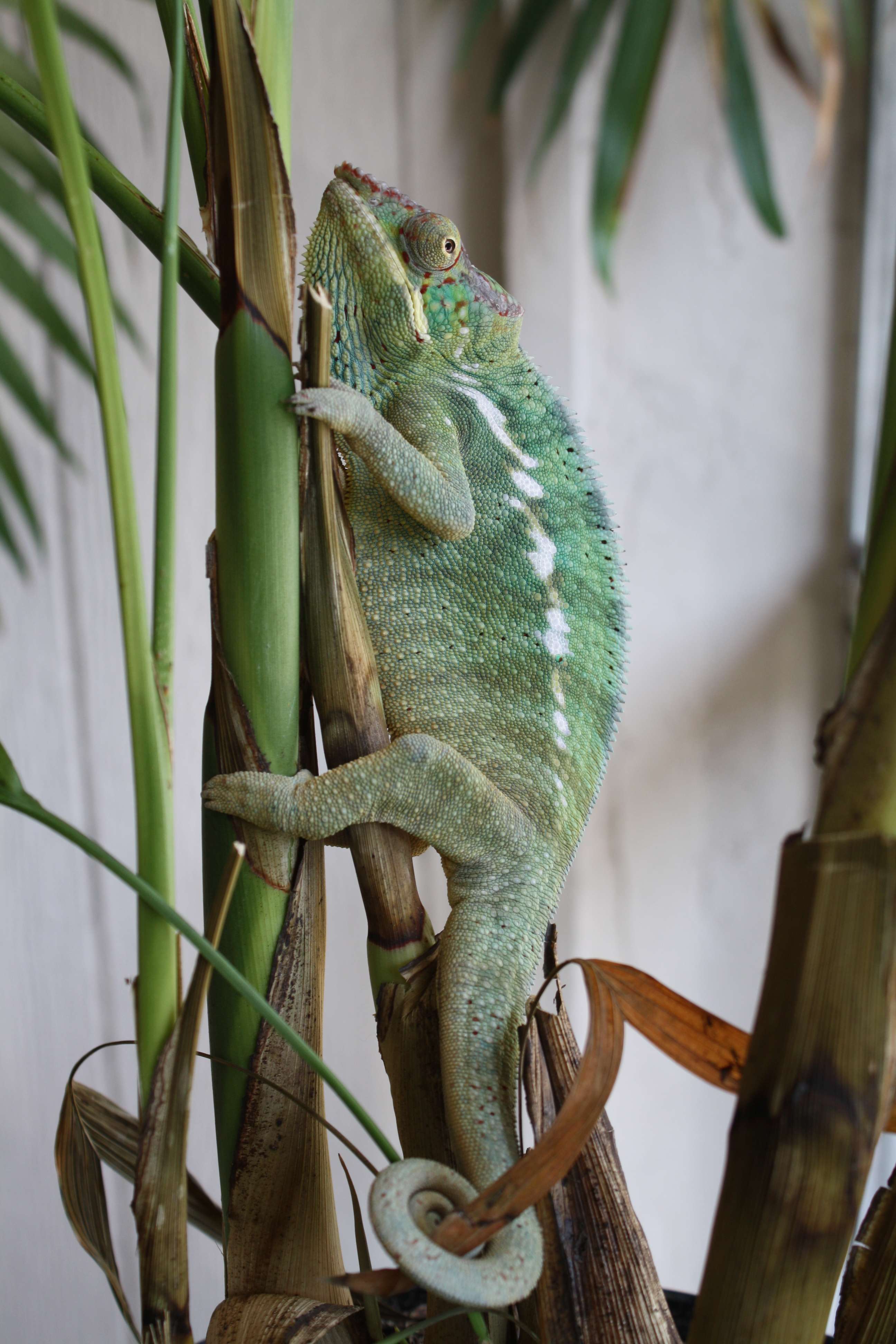 img3856v.jpg