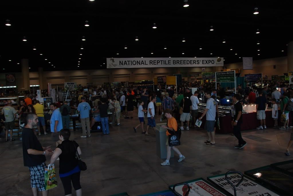 summer20111251.jpg