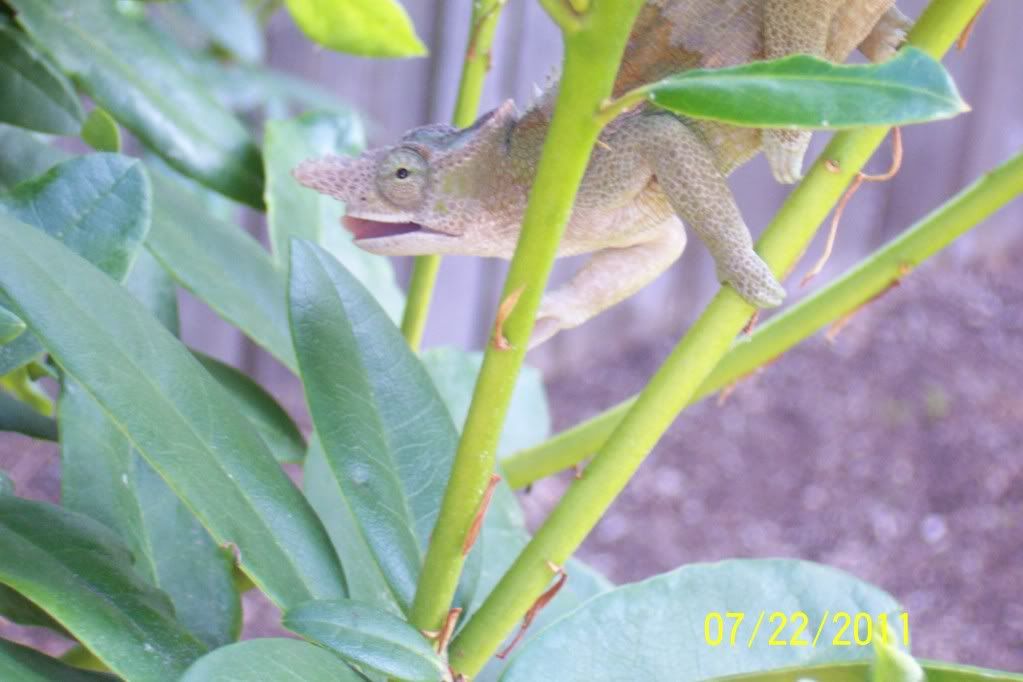 100_2404.jpg