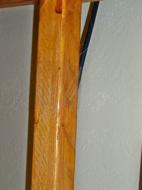 100_0629.jpg