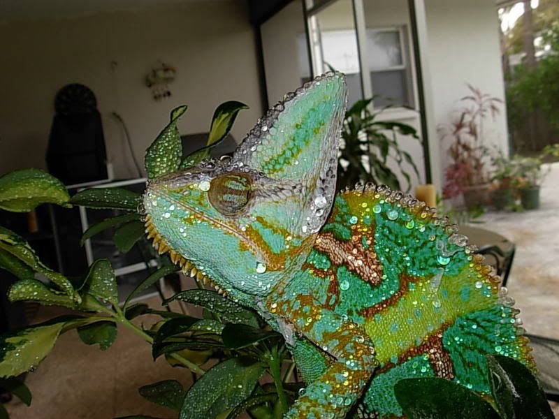 DSCN0774.jpg