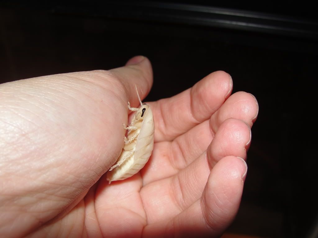 DSC01268.jpg