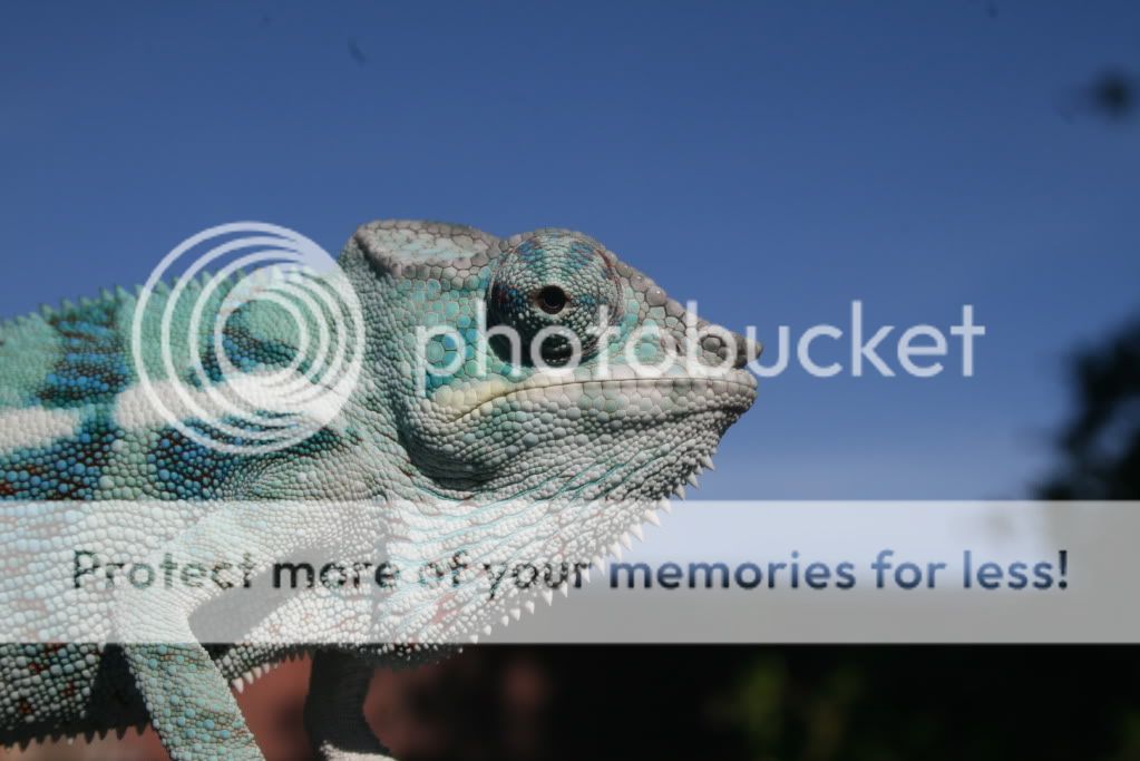 eospics9-19-09016-3.jpg