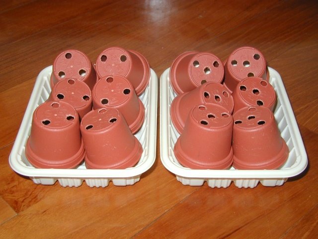 mini_plant_pots.jpg