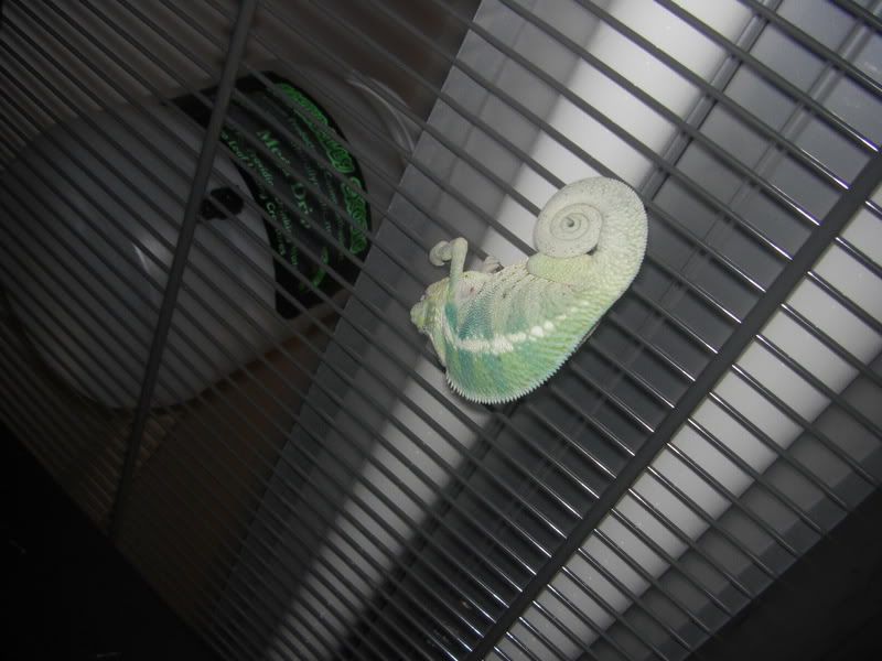 CIMG0512.jpg