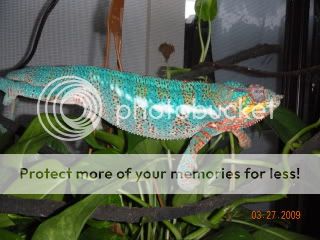 DSCN0624.jpg
