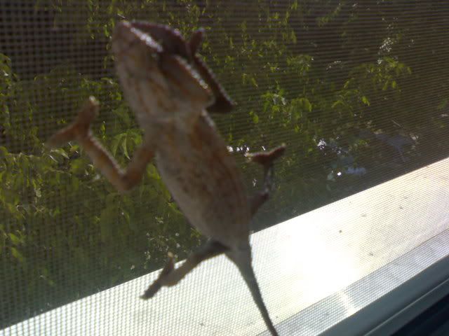 050220061499.jpg