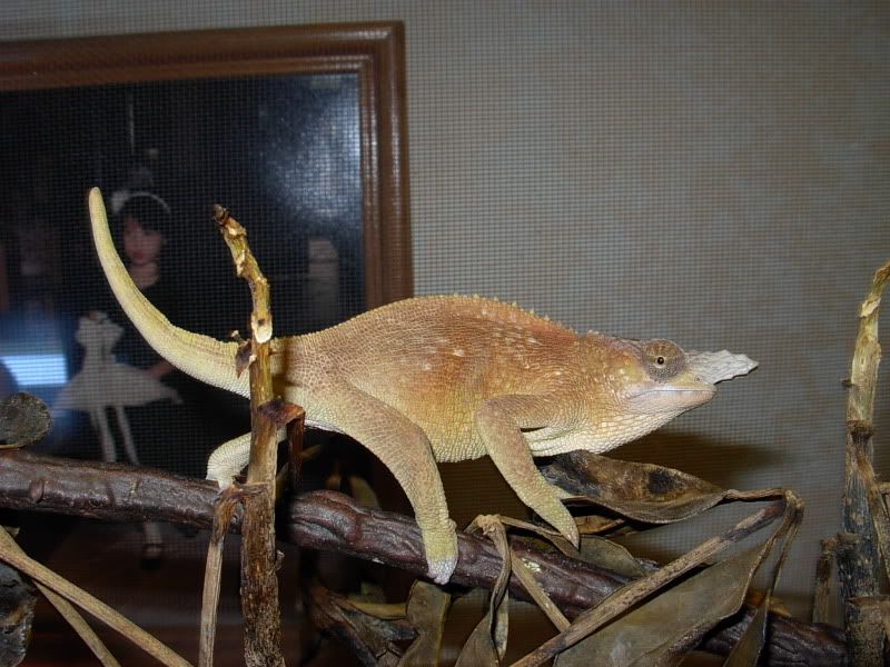 DSCN5729.jpg