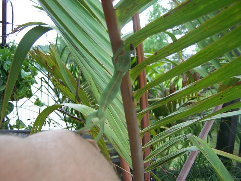100_1054.jpg