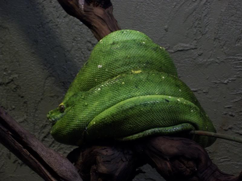 100_3045.jpg