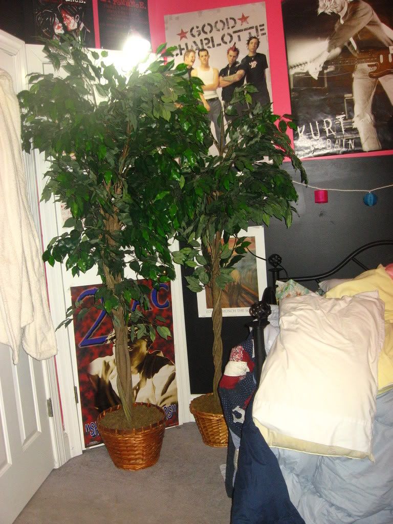 EmilyUpdate006.jpg
