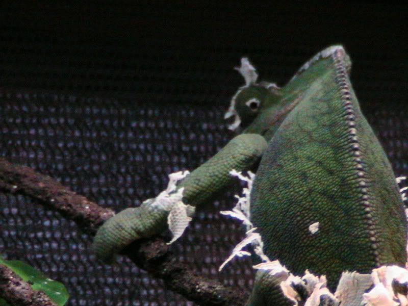 IMG_1543.jpg