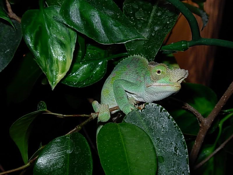 DSCN1100.jpg