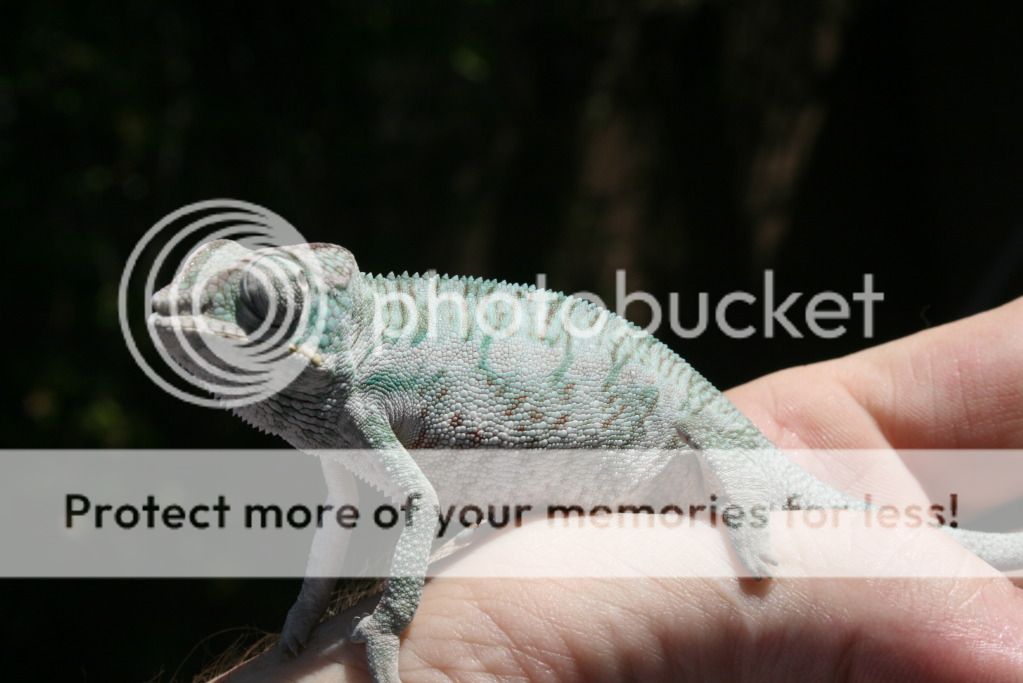 somepics021-1.jpg
