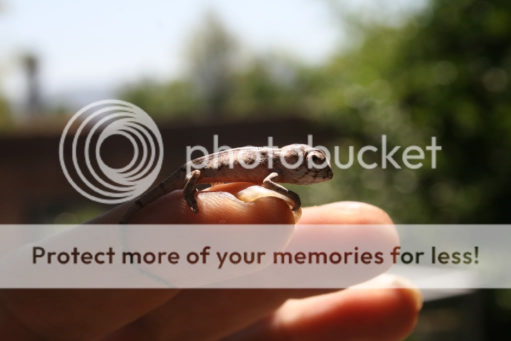 eospics9-19-09015-3.jpg