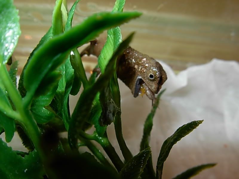 DSCN1699.jpg