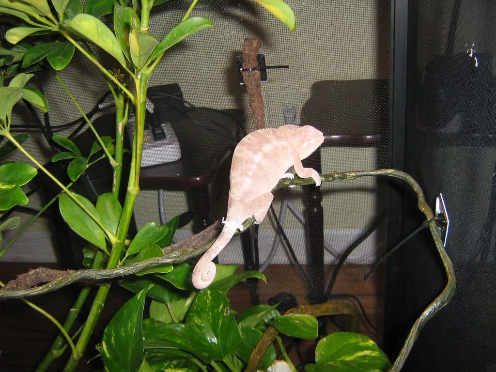 IMG_0126.jpg