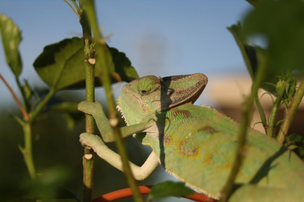 20110804_43.jpg