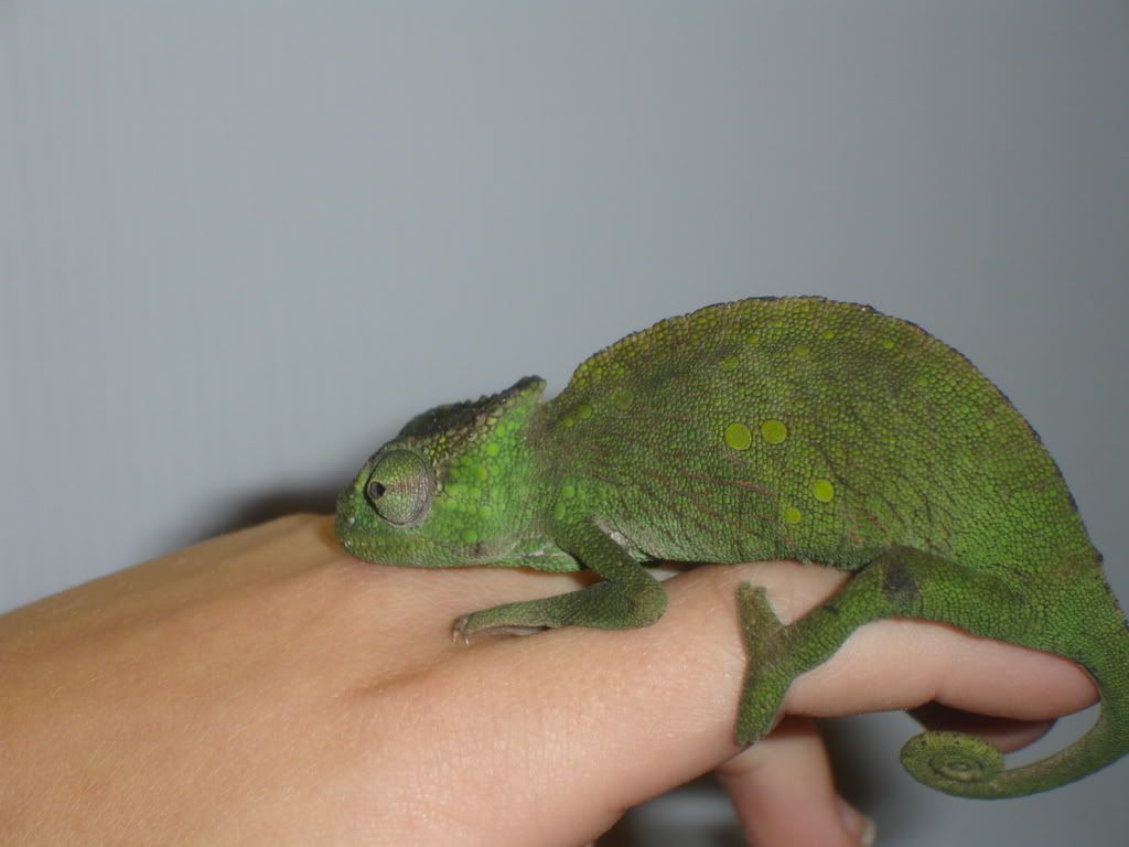 DSC05102.jpg