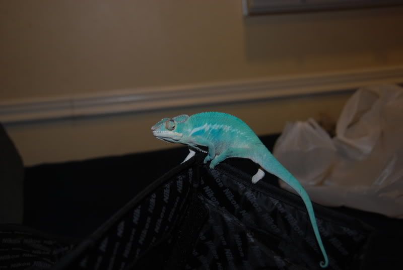 20071029003.jpg