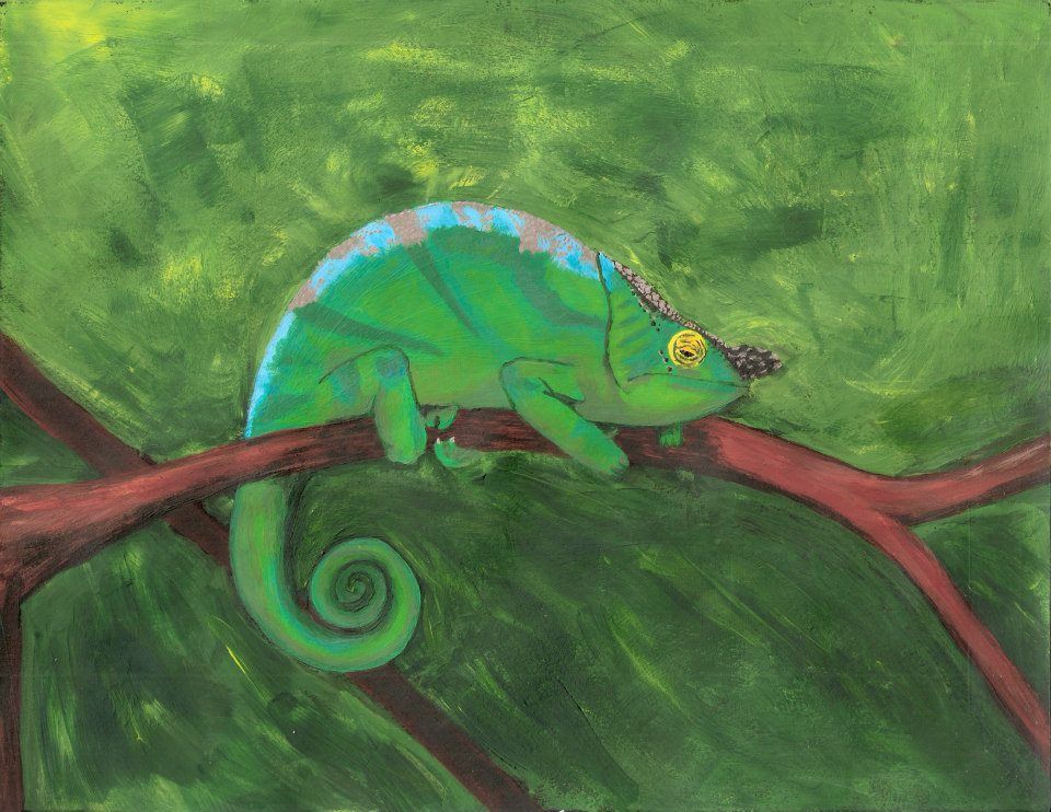 parsonchampaint_zpsb8f06fa5.jpg