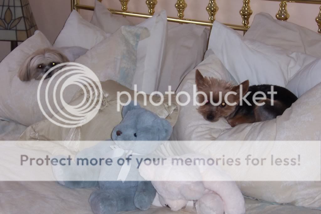 10thJuly036.jpg