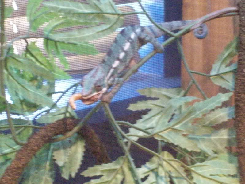 Picture049.jpg