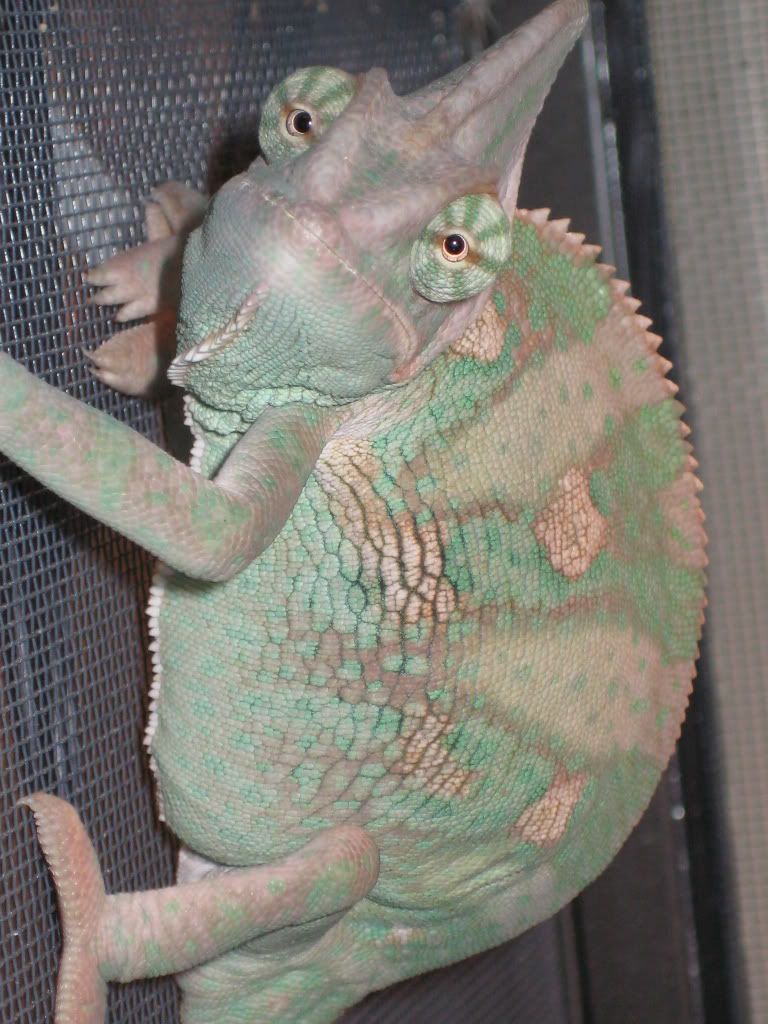 IMG_0874.jpg