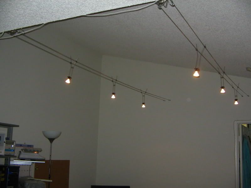 IMG_7916.jpg