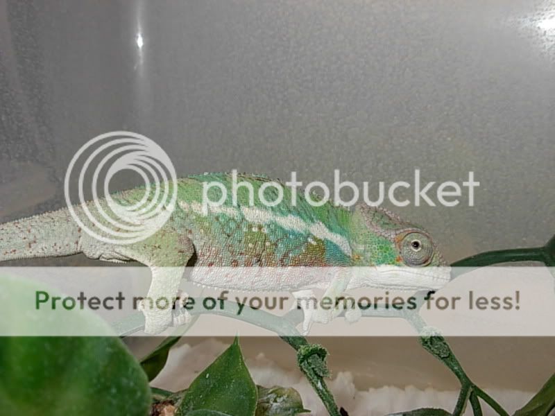 DSCN6058.jpg