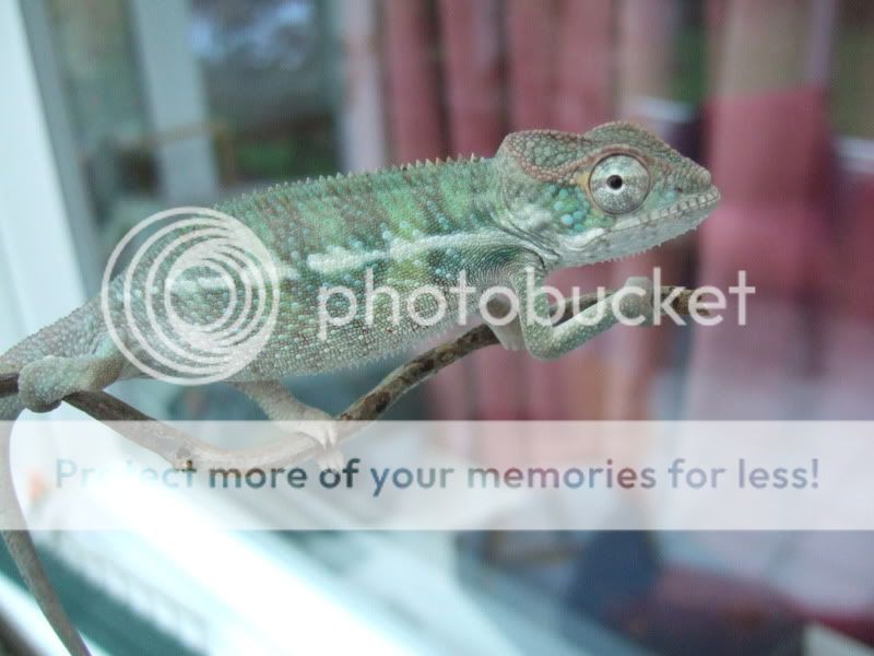 DSCF3997.jpg