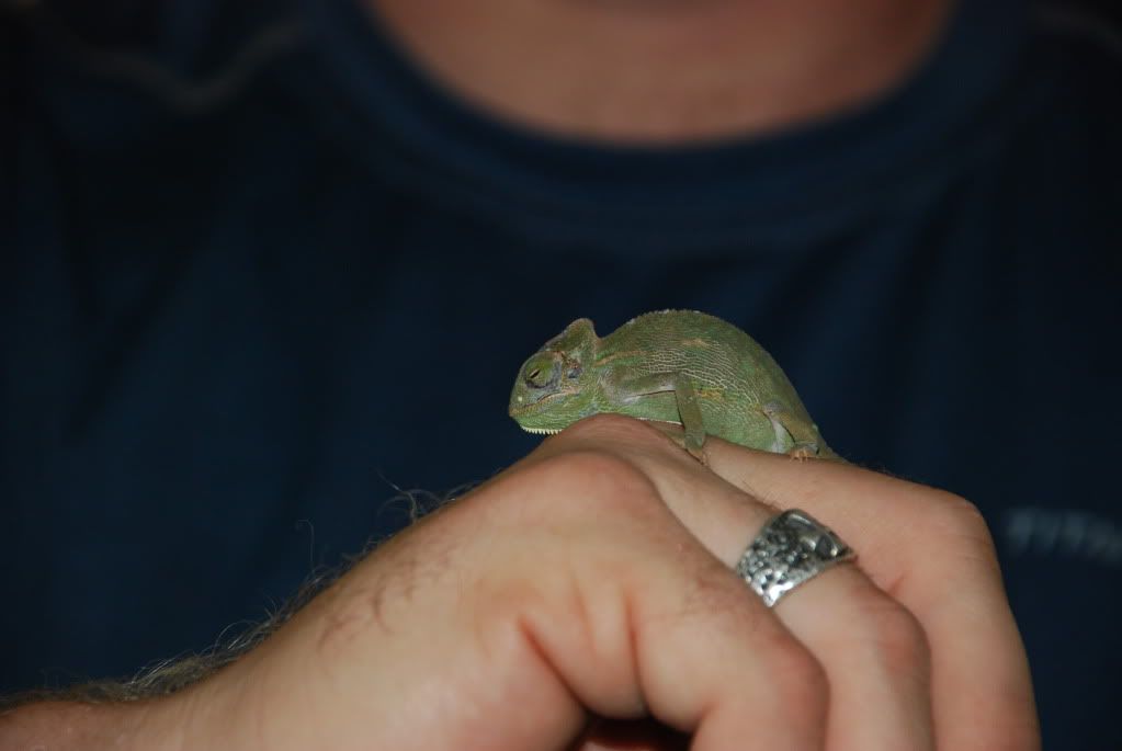 DSC_0026.jpg