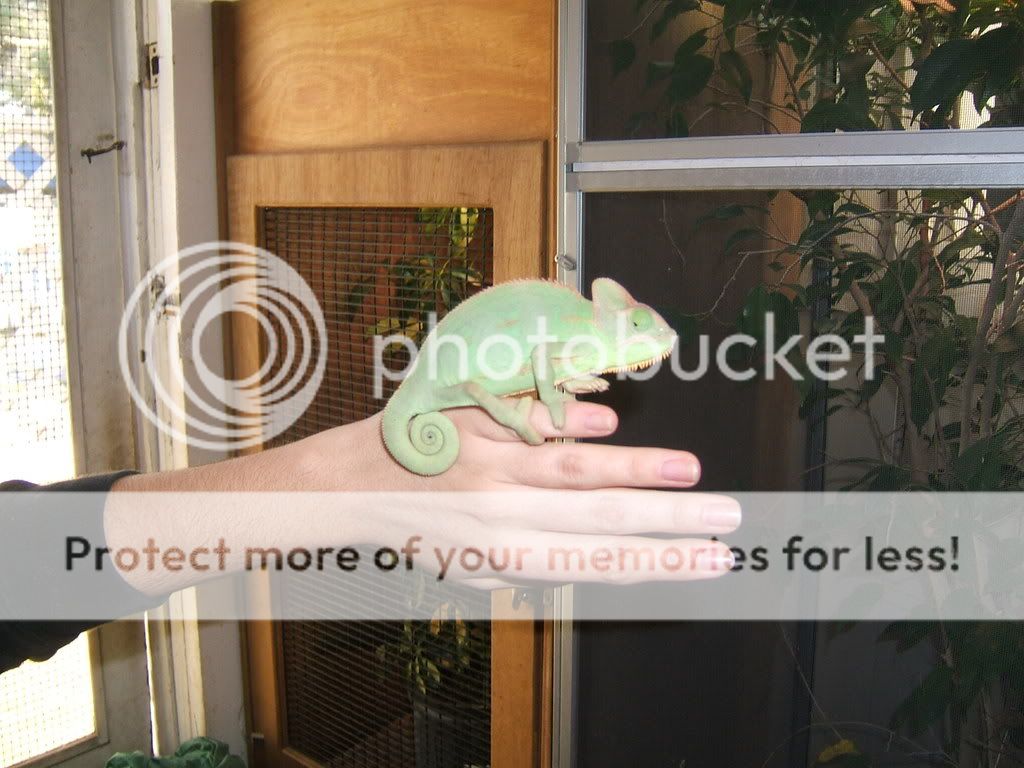 DSCF7705.jpg