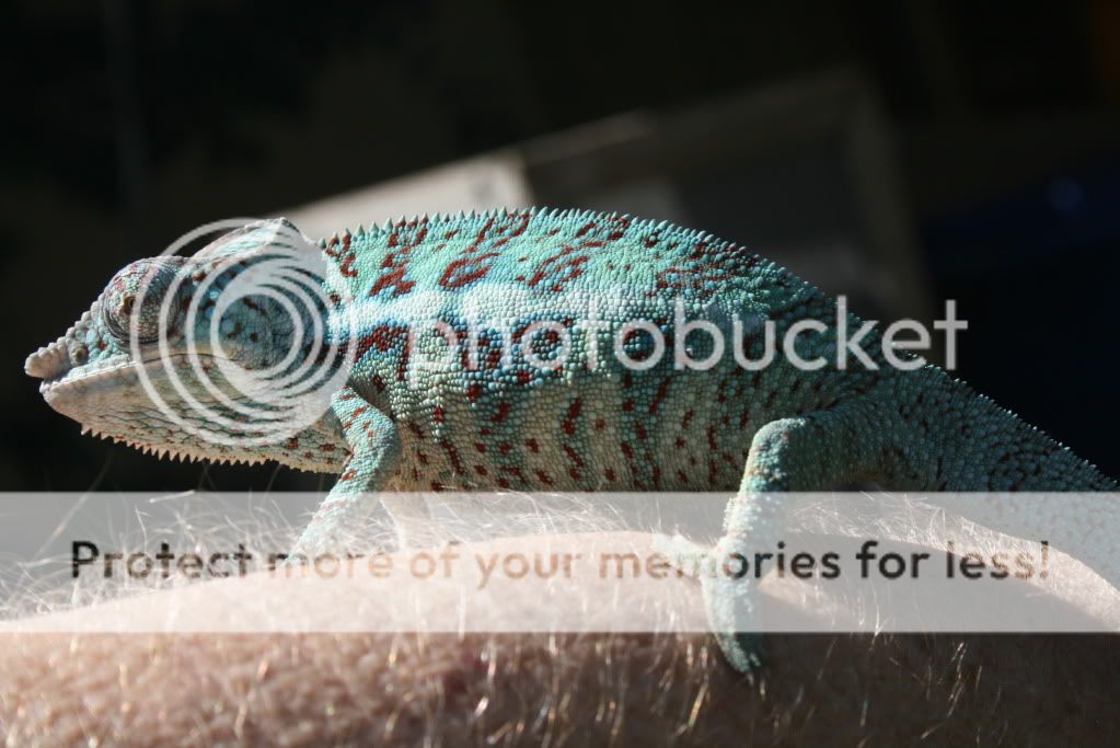 5-1-2010070.jpg
