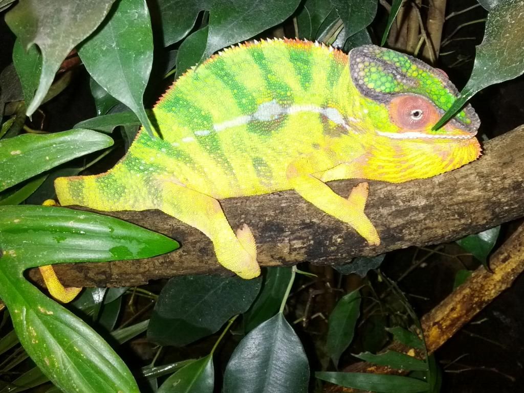 2012-09-30162829.jpg