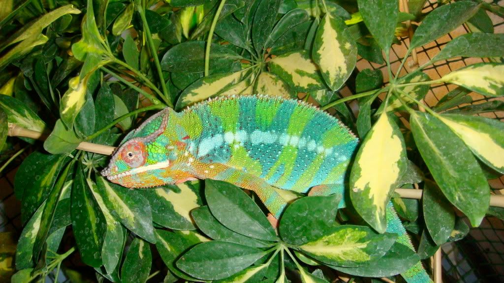 DSC01680.jpg